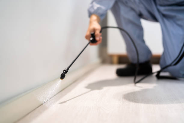 Licensed Cockroach Control service in Nahunta, GA - Nex Pest Control