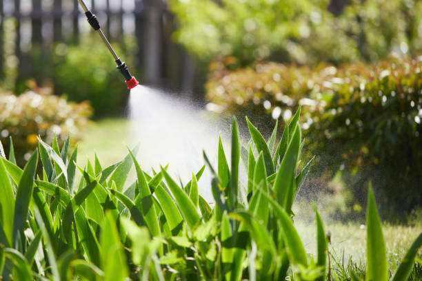 24/7 Emergency Cockroach Control experts in Nahunta, GA