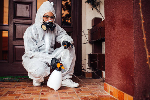 Reliable Cockroach Control contractor in Nahunta, GA by Nex Pest Control
